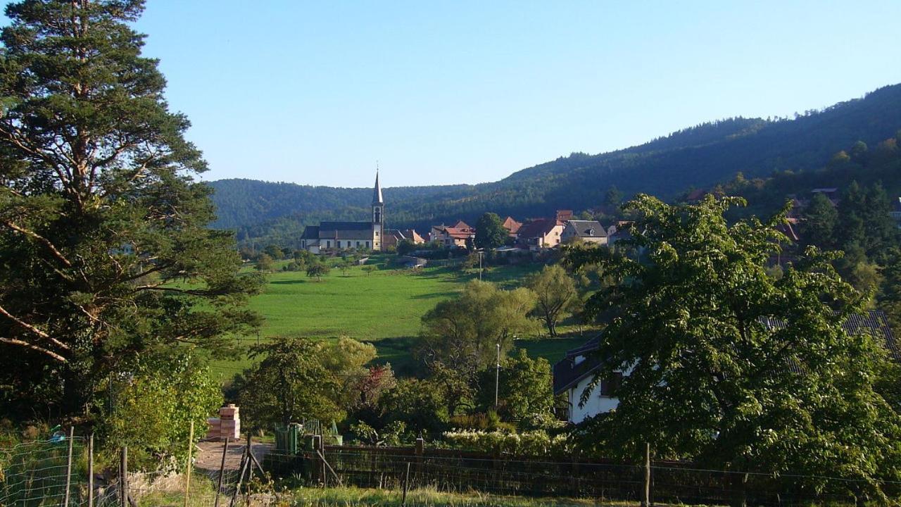 Hotel Du Haut Koenigsbourg- Entre Vignes Et Chateau Thannenkirch Exterior foto