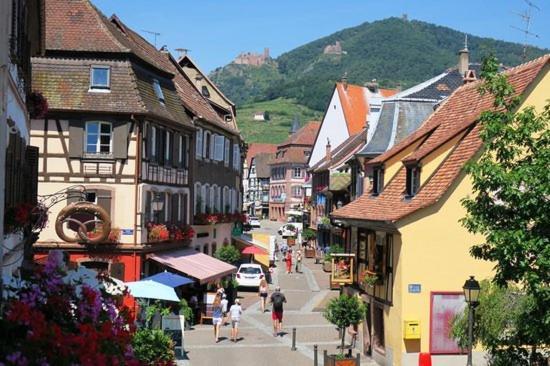 Hotel Du Haut Koenigsbourg- Entre Vignes Et Chateau Thannenkirch Exterior foto
