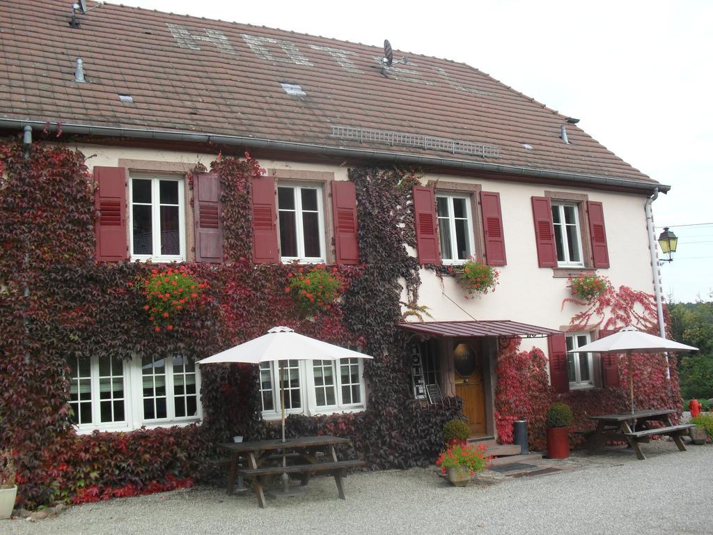 Hotel Du Haut Koenigsbourg- Entre Vignes Et Chateau Thannenkirch Exterior foto